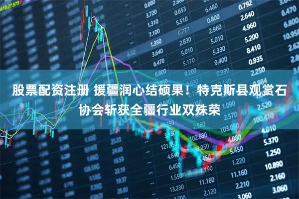 股票配资注册 援疆润心结硕果！特克斯县观赏石协会斩获全疆行业双殊荣
