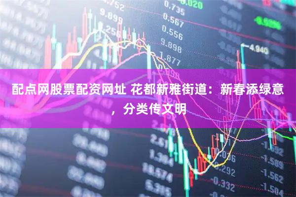 配点网股票配资网址 花都新雅街道：新春添绿意，分类传文明