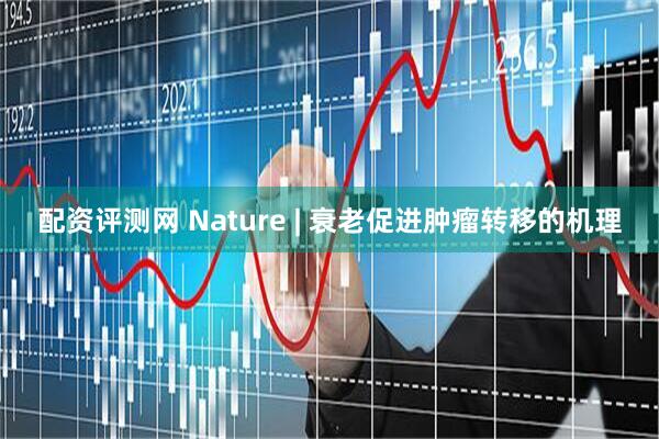配资评测网 Nature | 衰老促进肿瘤转移的机理