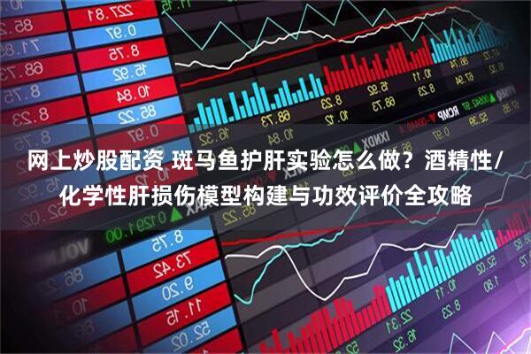网上炒股配资 斑马鱼护肝实验怎么做？酒精性/化学性肝损伤模型构建与功效评价全攻略